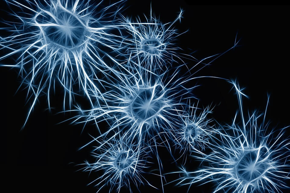 Neurotransmittery - tablety, lieky, doplnky pre mozog Neurotransmittery - tablety, lieky, doplnky pre mozog