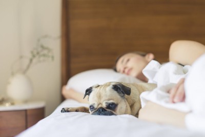 Lieky na spánok Prírodné lieky na spánok bez predpisu