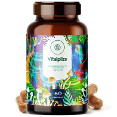 Zlepšite pečeň, imunitu, spánok a stres s najlepšou hubou Reishi. TOP recenzie z Dr. Max, Terezia a MycoMedica. Expert odporúča tablety Vitalpilze Autolux
